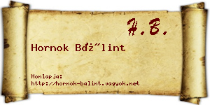 Hornok Bálint névjegykártya